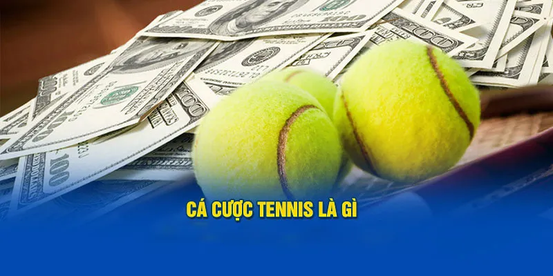 Cá cược tennis đang là bộ môn giải trí đổi thưởng được săn đón hàng đầu tại BJ88