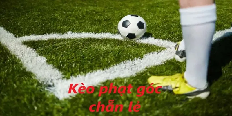 Kèo phạt góc chẵn lẻ là hình thức cá cược vô cùng đơn giản